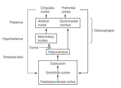 306_Anatomy of learning 2.png